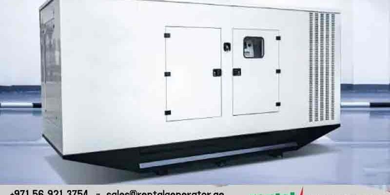 Rental Options for New Generators